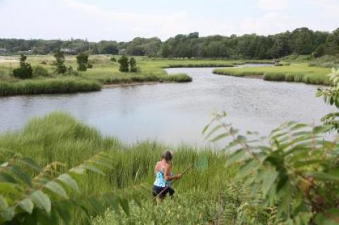 "There is no place in the state that will benefit more than Long Island from this funding,” State Assemblyman Fred W. Thiele Jr. said of recent water quality measures proposed at the state level.