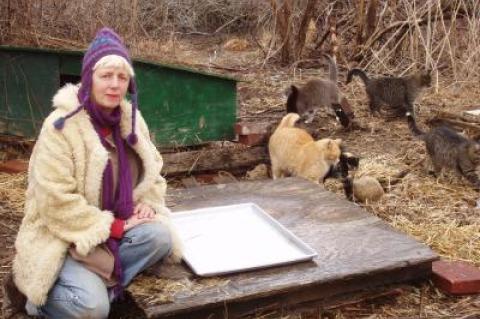 Elizabeth Willoughby is trying to find homes for a colony of cats before they are taken by park officials to a shelter or euthanized, depending on their health.