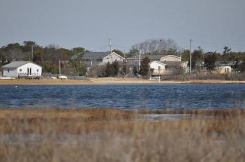 East Hampton Town residents will be able to grow oysters in a portion of Napeague Harbor, in a program run by the town shellfish hatchery.