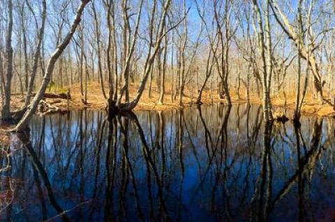 Most of the East End’s bowl-shaped ponds are kettlehole ponds, formed by large chunks of ice that made depressions in the land during the retreat of the glaciers that created Long Island.