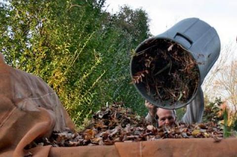 One suggestion from The Star’s “Nature Notes” columnist for improving air quality, not to mention noise levels: Rake leaves, rather than machine-blow them.