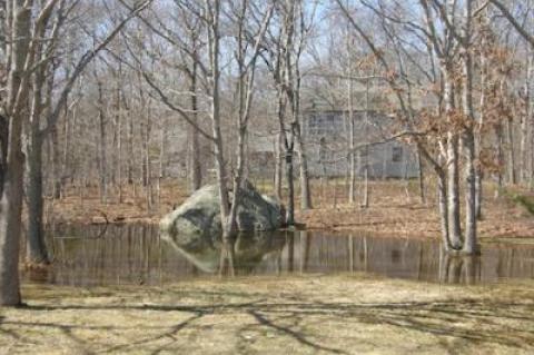 Stephen Talkhouse Park glacial erratic after a rain