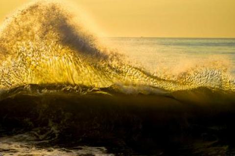 After seeing Dell Cullum’s photographs of waves as they crest and break on shore, you’ll never look at a wave the same way again, The Star’s “Nature Notes” columnist writes.