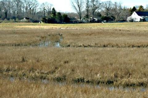 Old pathways along the margins of Accabonac Creek can be seen by those who know what they are looking for.