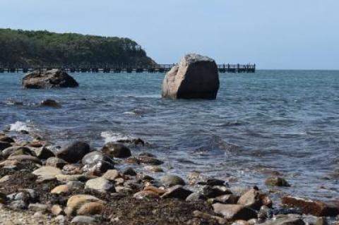 Glacial erratics off Navy Beach in Montauk.