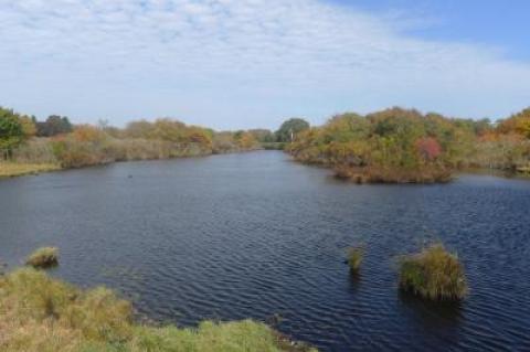 Officials of the Maidstone Club told the East Hampton Village Zoning Board of Appeals that a wood bridge across Hook Pond was essential to the safety of golfers, pedestrians, cyclists, and motorists on Dunemere Lane.