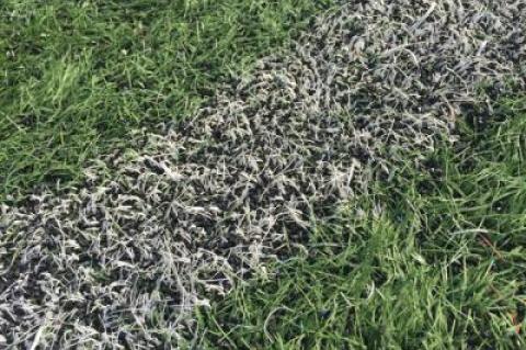 A close-up of the artificial turf field at East Hampton High School