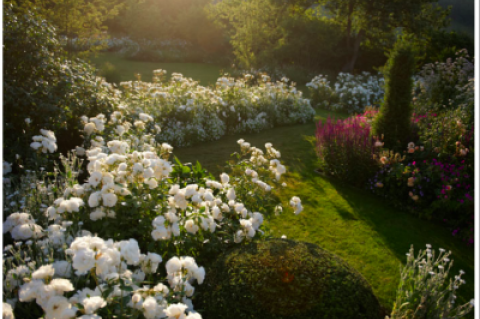 A Jinny Blom garden