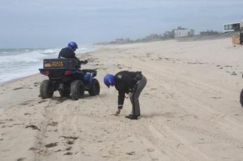 Police searched the beach near Town Line Road for wreckage from the plane Sunday morning.