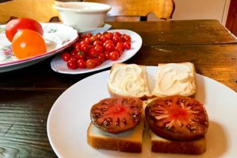 Tomato sandwiches are about tomatoes, bread, and mayonnaise, period.