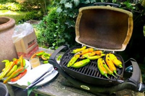 Grilled vegetables are simple, ubiquitous, and hard to get right. A few basic rules can help coax the most out of this summer staple.