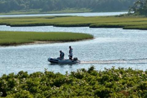 The state’s Department of Environmental Conservation closed more of Accabonac Harbor to shellfishing in November, but new data in a report commissioned by the East Hampton Town Trustees suggest some areas could have remained open.