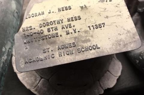 Lost long ago, a high school ID found on the beach in Montauk and still legible will be returned to the woman who owned it, now 63.