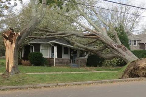 Reports of flooding, downed trees, and damage caused by wind -- such as trees falling on houses or cars -- comprise the vast majority of calls to local insurance agencies.