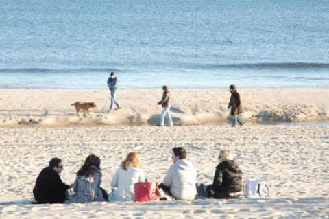 From mid-May through September dogs will have to be leashed at East Hampton Village beaches until they are at least 300 feet away from parking lots and road ends.