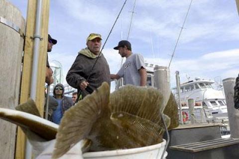 A bucket of big fluke proved the success of the Lazy Bones party boat’s afternoon trip on Monday.