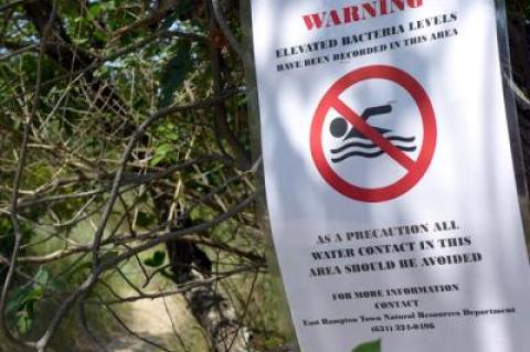 Warning signs have gone up at Fresh Pond in Amagansett, after private tests found high bacteria levels in the water all summer.