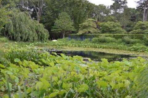 LongHouse Reserve will be one of the settings for its landscape awards on Saturday.