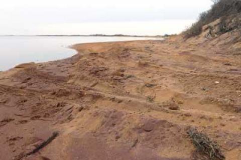 Napeague Harbor shoreline