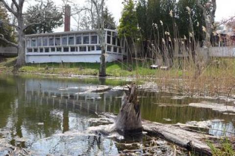 Georgica Pond's headwaters near Osteria Salina in Wainscott earlier this spring. The presence of cyanobacteria, which can have harmful health affects in both humans and animals, led to the closing of the pond on Friday.