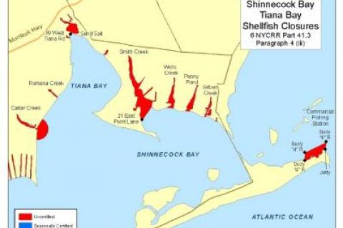 New York State reopened portions of Shinnecock Bay to shellfishing on Friday after a two-week closure.