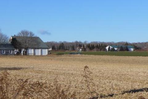 A portion of Wainscott farmland for which a deal has been struck to assure that it is planted with food crops in perpetuity.