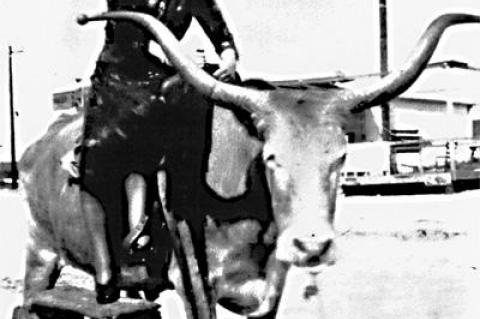 Bertha Edwards, principal of the Springs School for one year and a teacher for many more, on a fake bull at a fair in Riverhead circa 1930.