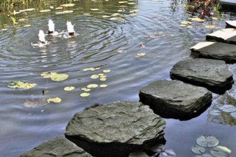 Stepping stones make feeding the koi fun; lily pads and small fountains please the eye.