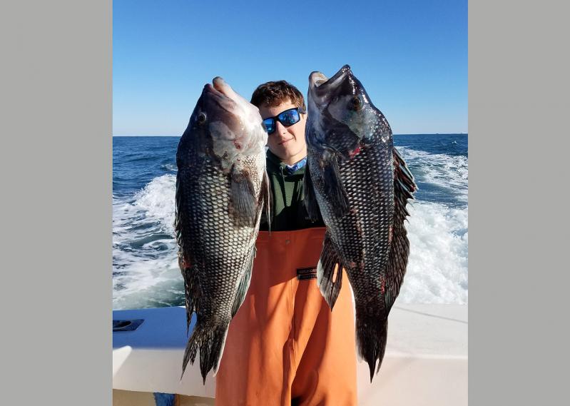 The black sea bass season finally opened on Sunday for New York State anglers. 	