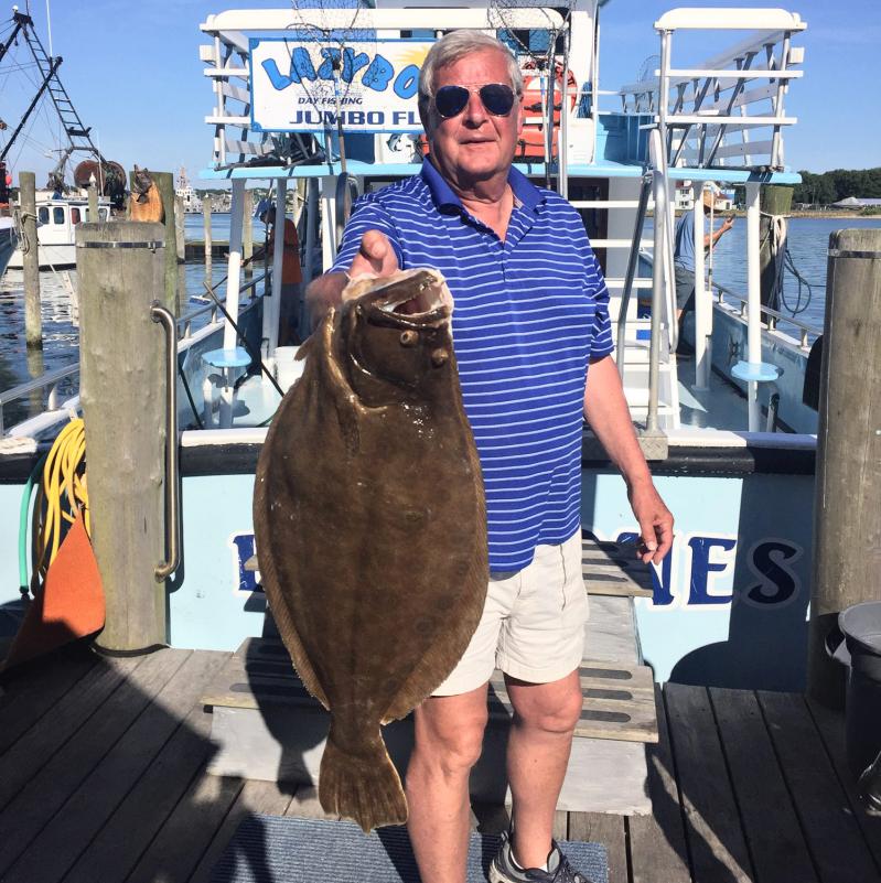 White Sea Bass Fishing  Sea Bass, Halibuts, and Lobsters! 